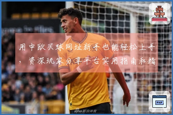 用中欧买球网址新手也能轻松上手，资深玩家分享平台实用指南和精彩体验