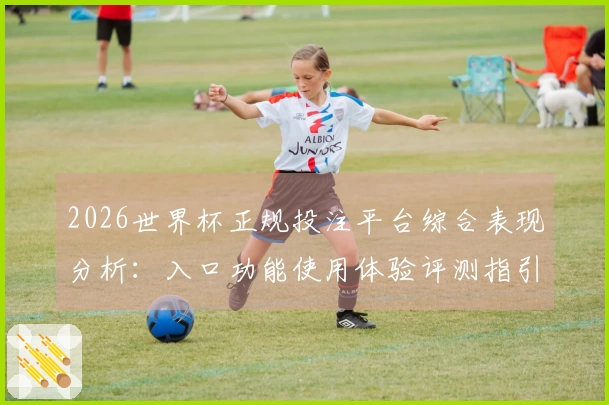 2026世界杯正规投注平台综合表现分析：入口功能使用体验评测指引